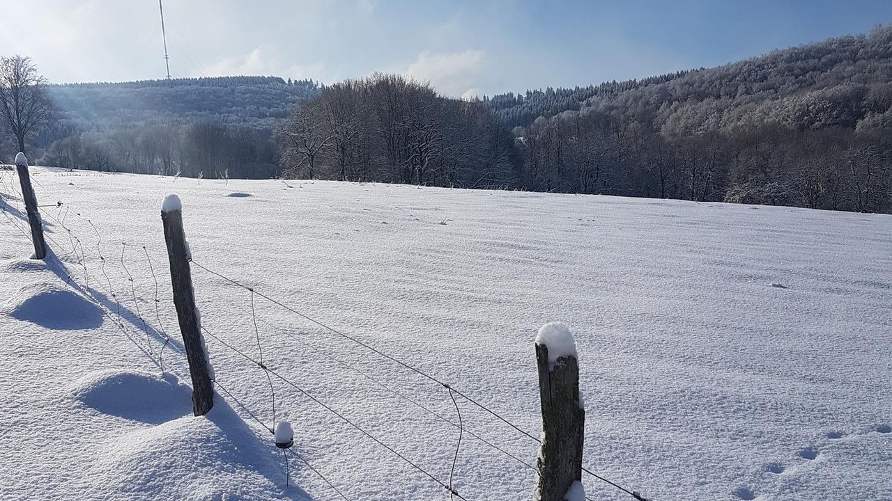 Winter in der Rhön Winter in der Rhön
